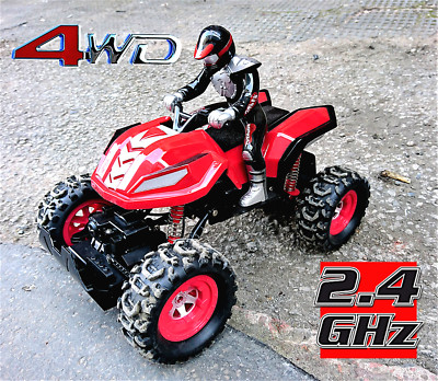 Big-Daddy 4WD Rally Car 1:12 Scale with Attached Driver - Channel RC 2.4 GHz Radio Remote Control, 4 Wheel Drive, Suspension Systems, Off Road Vehicle