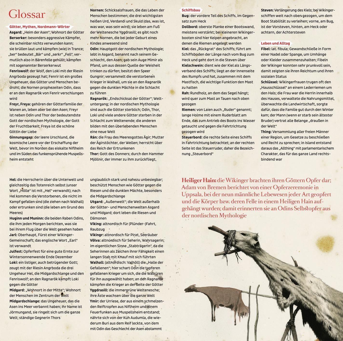 Thumbnail - Birge Tetzner | Fred Bei Den Wikingern | Audio-cd | Deutsch (2017) |