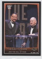 2015 Topps WWE Road to Wrestlemania The Bushwhackers #98 g9z