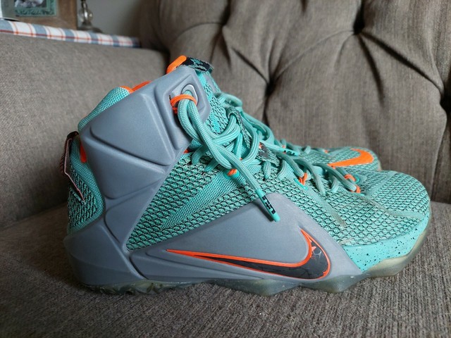 lebron 12 nsrl