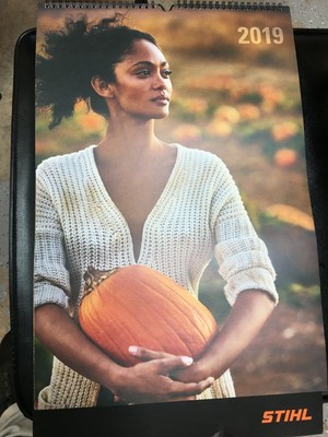STIHL 2019 CALENDAR COLLECTOR DISCONTINUED LIMITED | eBay