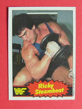 1985 O-Pee-Chee WWF Pro Wrestling Stars Trading Cards 22