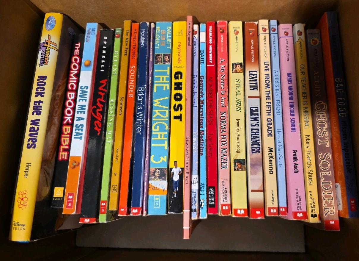 Large Lot Of 25 Middle School Chapter Books ! Great For Kids! Approx Grade 5-8!