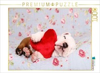 Calvendo Puzzle Englische Bulldogge Welpe / English Bulldog Puppy | 1000 Teile L