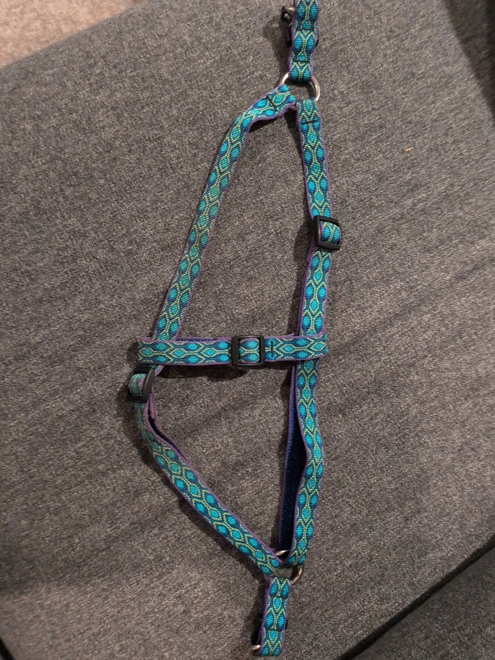 Lupine Pet - Arnés ajustable azul "pavo real" para perros medianos Foto 2 de 3