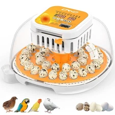 36 Quail Incubators for Hatching Eggs, Quail Egg Incubator with Automatic Egg