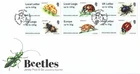 2016 Jersey Beetles Post and Go First Day Cover