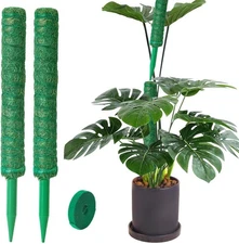 2 Pack Moss Pole, LveSunny 16 Inch Green Stackable Monstera Plant 2Pcs 16in 