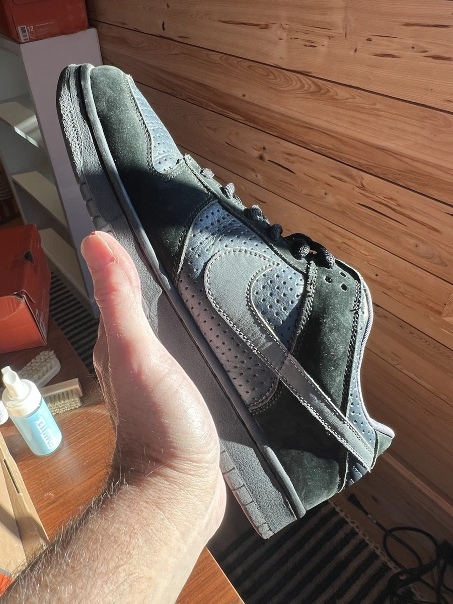 Nike Gino Iannucci x Dunk Pro SB Low Blue for Sale | Authenticity