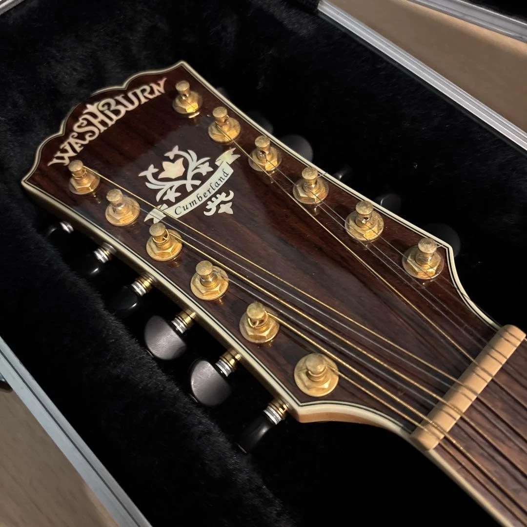 washburn 12 string guitar products for sale | eBay