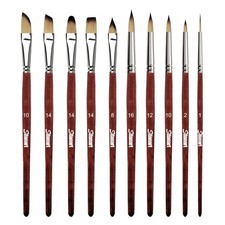 Professional Artist Watercolor Paint Brushes Assorted Shapes 10 PCS Set