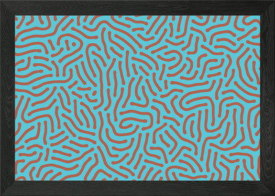 Turing patterns (copper coin, aged  Framed Wall Art Poster Canvas Print Picture