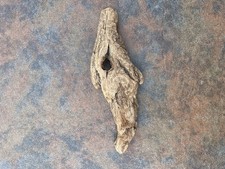 Natural Driftwood for Plants Terrarium Taxidermy Art Projects