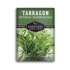 Russian Tarragon Seeds for Planting - Plant  Grow Big Flowering Herbs in You...