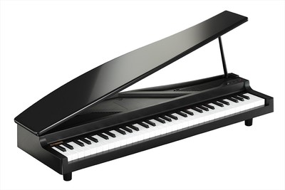 KORG Micro Mini Piano Keyboard 61 Key Black Japan With Tracking | eBay