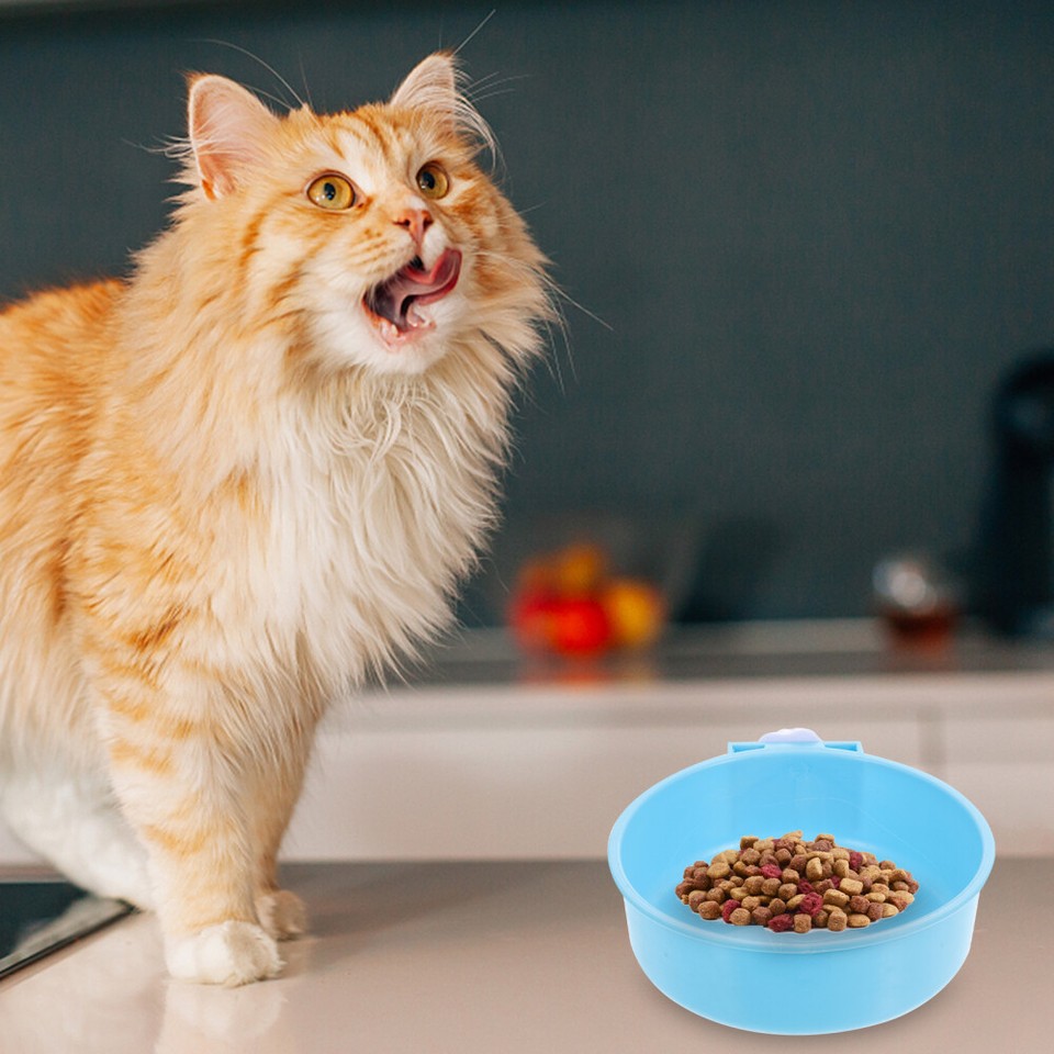 Heated Pet Bowl Dog Crate Water Bottle Dispenser Food Cat Bowls eBay