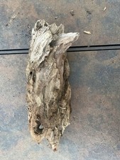 Natural Driftwood for Plants Terrarium Taxidermy Art Projects