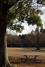 Picture 14 of 15
