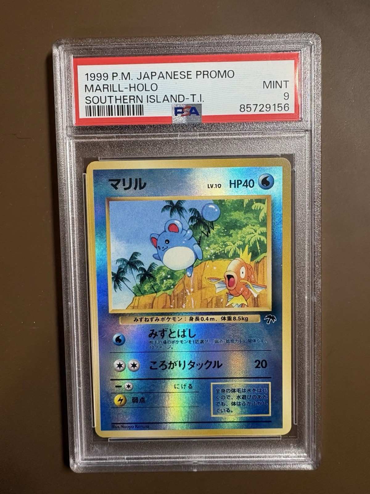 マリル サザンアイランド psa9 MARILL southern コイキング マリル サザンアイランド psa9 MARILL southern コイキング Japanese