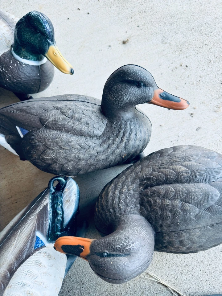 12 Flambeau Duck Decoys.  Never used, in box.  Classic Mallard Weighted keel  - Image 3 of 4