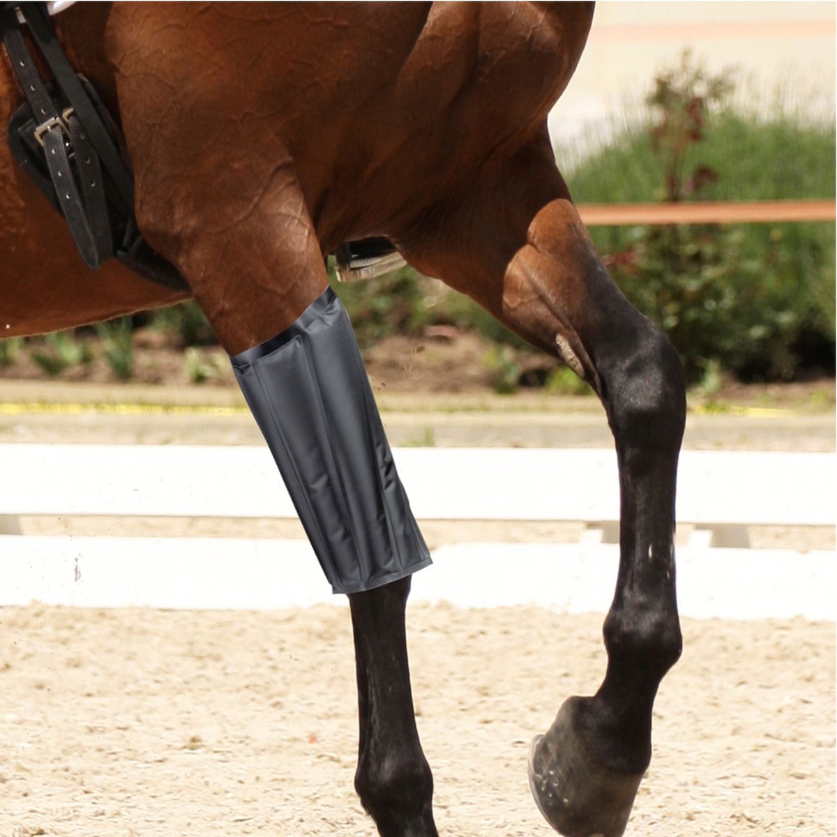 Horse Knee Support Brace Sleeve Wrap Cap Stabilizer Hot And Cold Pack  Sports New