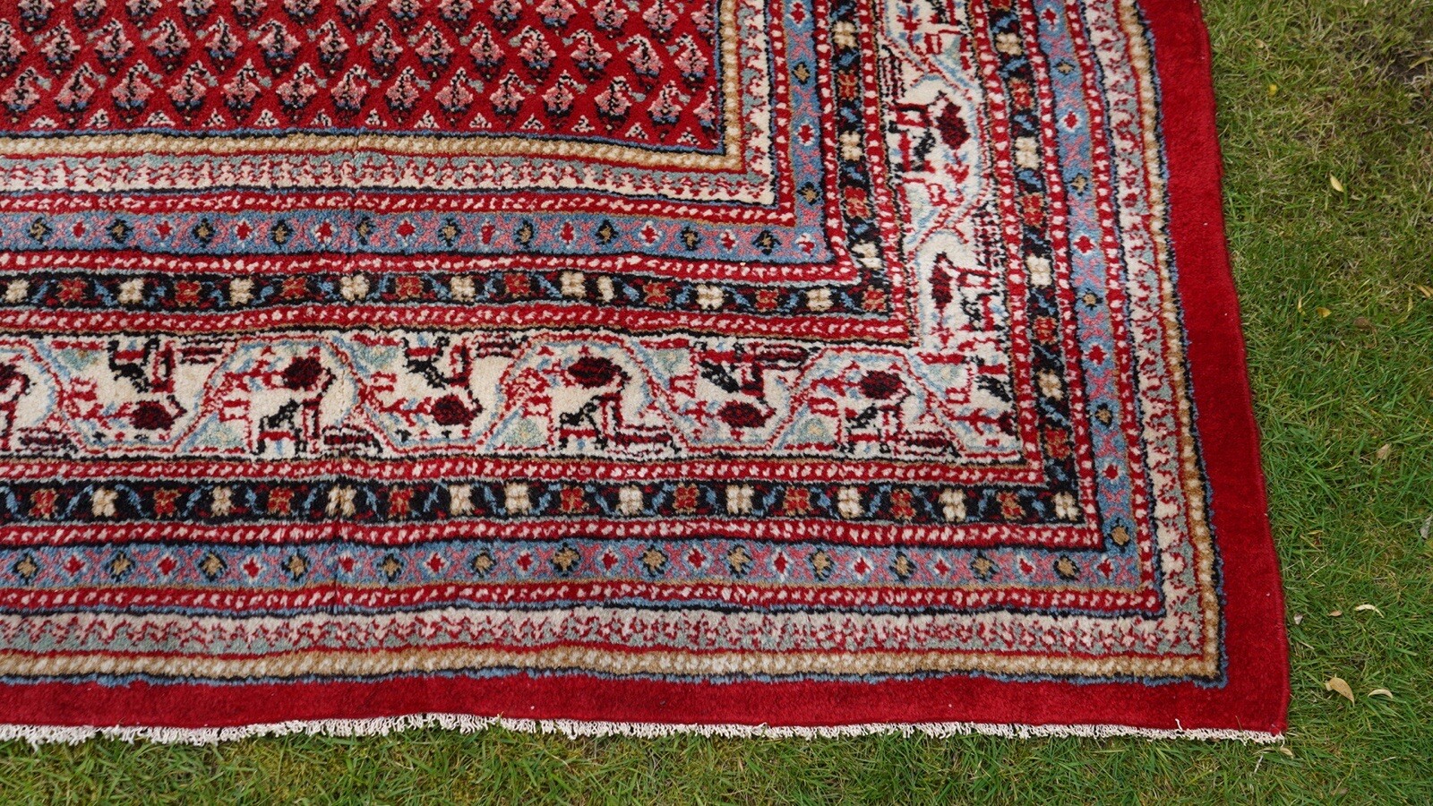 Extra Large Hand Knotted John Lewis Rug Afghan Sarouk Mir Carper 330 X 245 Cm eBay