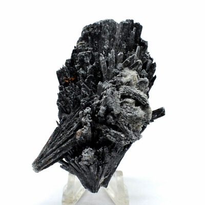2.9'' Black Kyanite Blade Natural Crystal Cluster Mineral Gemstone Cab - Brazil