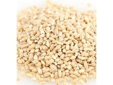 Frijoles de cebada orgánicos sin cáscara 2 libras envío gratuito