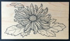 DAISY FLOWER PETAL AND LEAVES GARDEN BLOOM Stamp It Wood Rubber Stamp