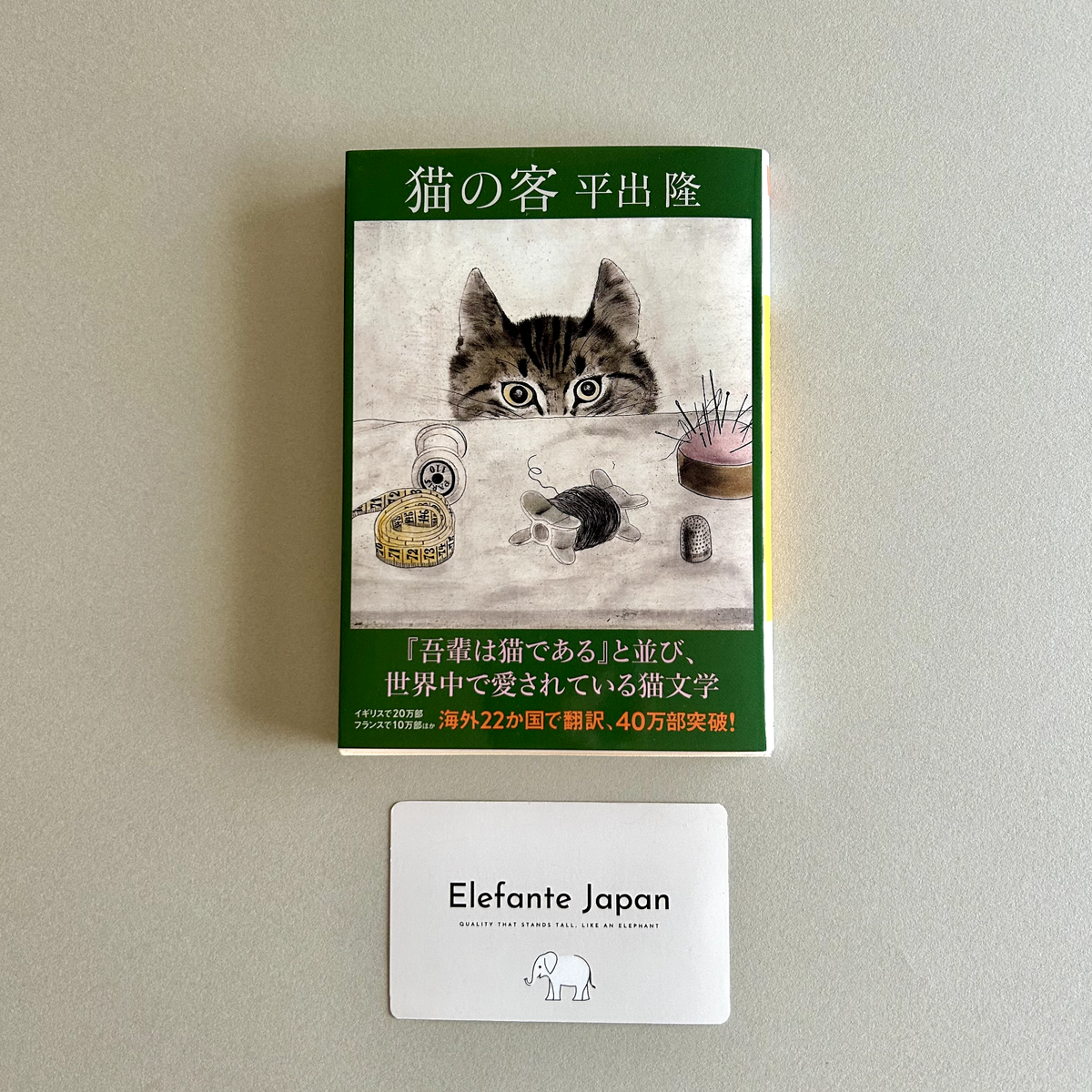 The Guest Cat (Neko no Kyaku) by Takashi Hiraide - Japanese