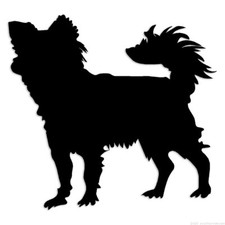 Long Haired Chihuahua - Decal Sticker - Multiple Colors  Sizes - ebn6967
