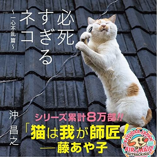 Masayuki Oki Hisshi Sugiru Neko Isshin Furan Softcover Book fm Japan w/Tracking