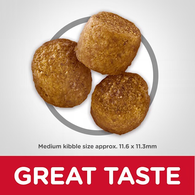 Hill's Science Diet Adult Perfect Weight Chicken Recipe Dry Dog Food eBay