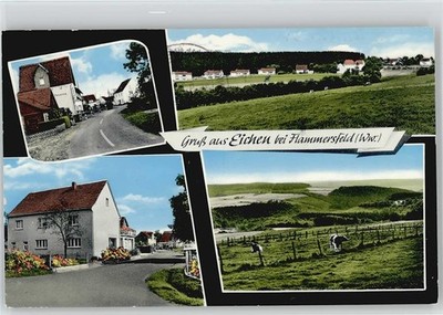 10021476 - 5232 oak multiple photo Altenkirchen Westerwald LKR