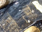 TEE DEE E-Z easy SLUICE with Flare Miners Moss Deep Groove Riffles LIGHT WEIGHT