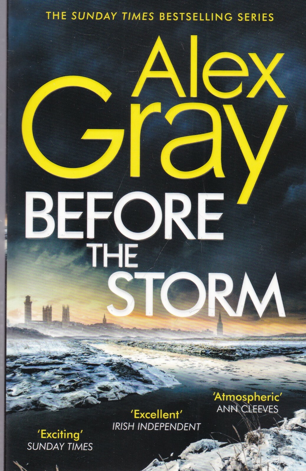 Before the Storm: Book 18 in the Sunday Times bestselling series (DSI William L - Image 2