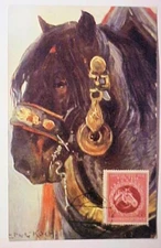GERMANY AUSTRIA 1942 MAXICARD HORSE WIEN