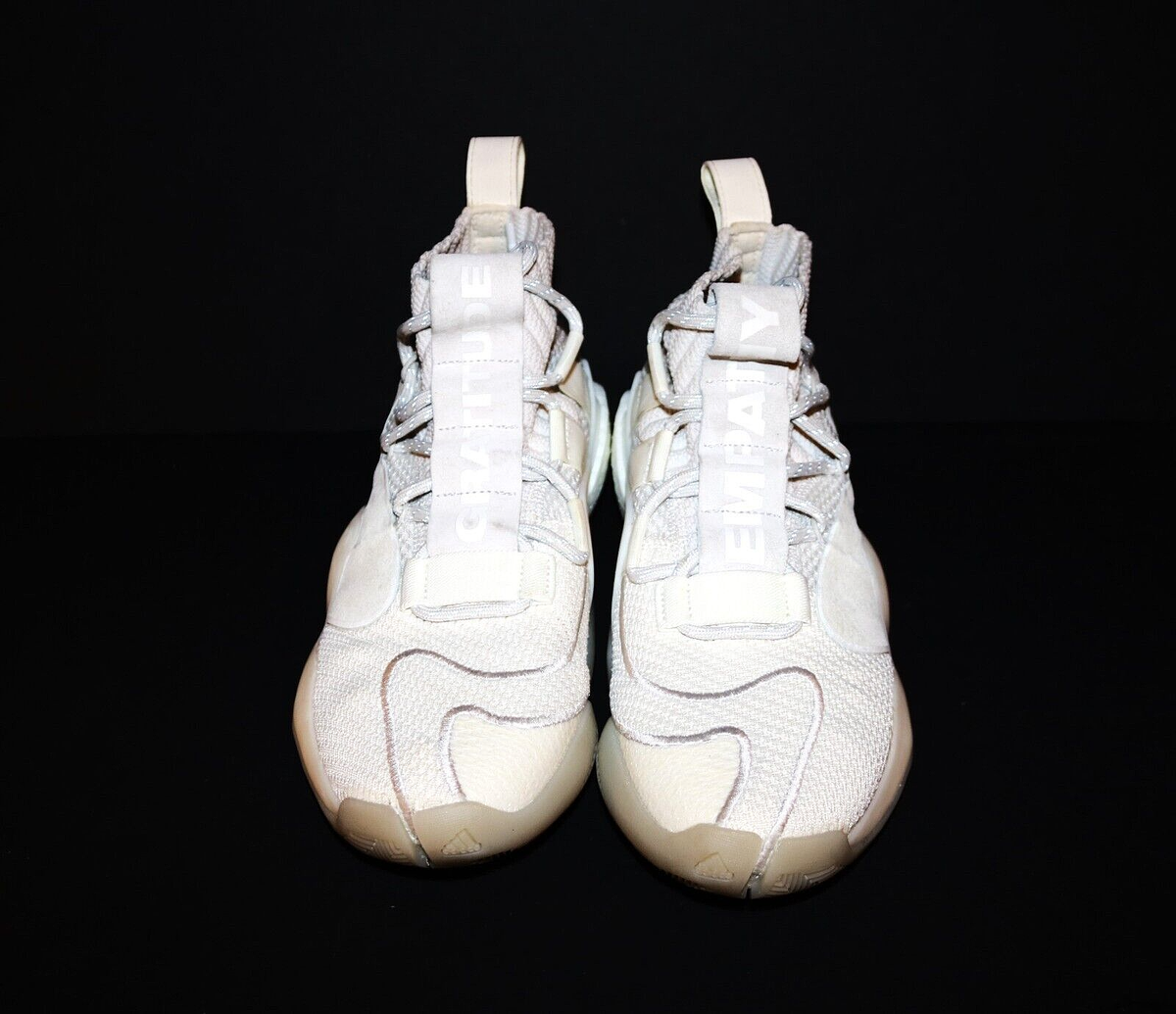 empathy エンパス Byoz Run exclusive edition Empathy: Turning Compassion Into Action empathy エンパス Byoz Run