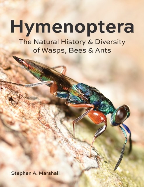 Hymenoptera : The Natural History and Diversity of Wasps, Bees and Ants by ... - Image 4