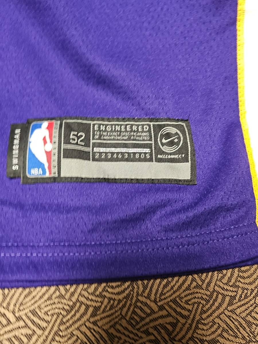 Lakers LeBron James #23 Nike Stitched Wish NBA Swingman Jersey