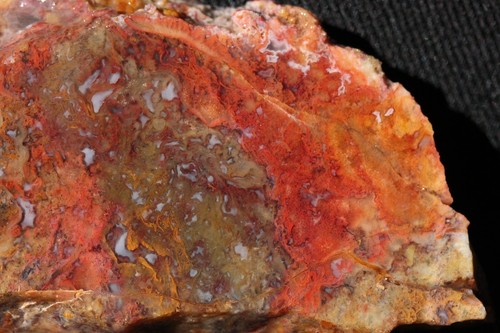 A277 ~ 1.7oz Losa Gruesa Multicolor Musgo Ágata ~ México - Imagen 2 de 8