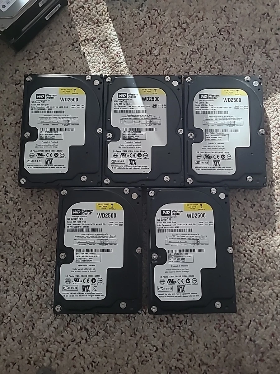 Hard Disk Usato Funzionante 100% Ok IDE 3,5 250Gb WESTERN DIGITAL WD2500AAJB WD2500AAJB-00J3A0 701596