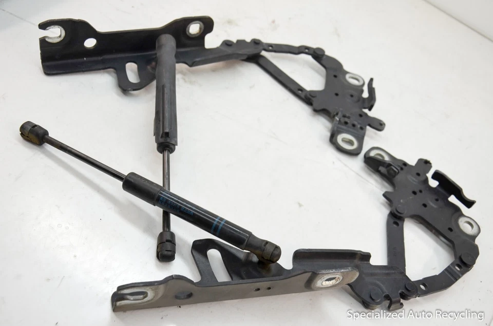 BMW 335I 2015 juego de bisagras de capó puntal de choque OEM Foto 3 de 4