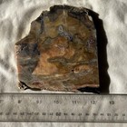 UTAH TIFFANY STONE Opal Fluorite Bertrandite SLAB ~ 183 grams / cab rough purple — photo 7