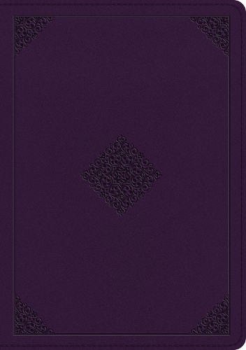 ESV Single Column Journaling Bible, Large Print - 9781433581694