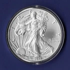 2017 US One Dollar  .999  Silver Walking Liberty Uncirculated 1 Troy Oz