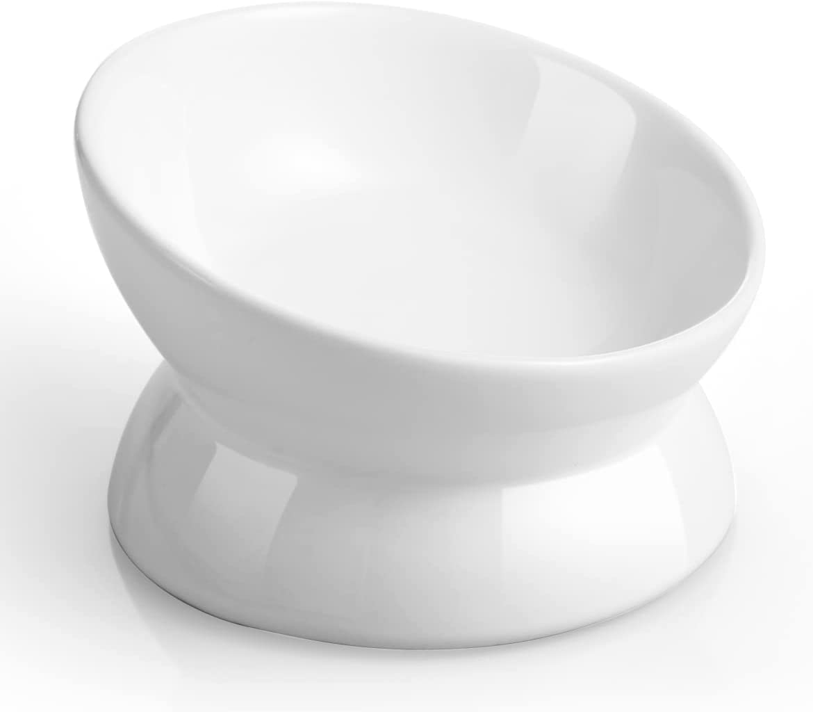 Elevated Cat Food Bowl, 5 Oz Ceramic Raised and Tilted Water Bowl, anti Vomiting
