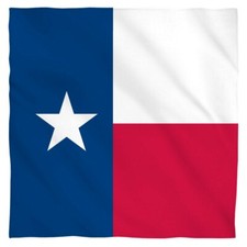 Texas Flag Flag Bandana