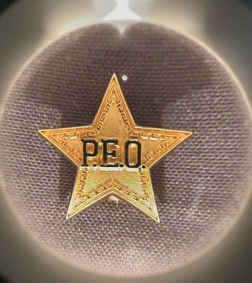 PEO Philanthropic Educational Org Sisterhood Sorority 1980 Lapel Pin OE Calif
