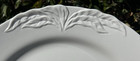 villeroy & boch SET-OF-4 X 10 3/8" FOGLIA WHITE DINNER PLATES leaves LUXEMBOURG — photo 4